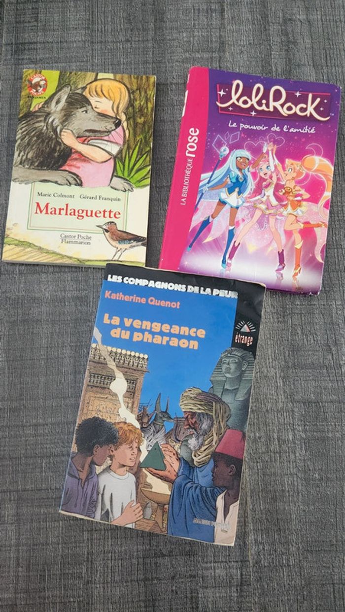 Lot 3 livres