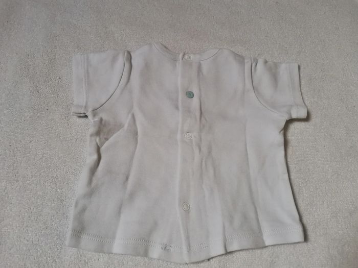 T shirt absorba 3 mois - photo numéro 3