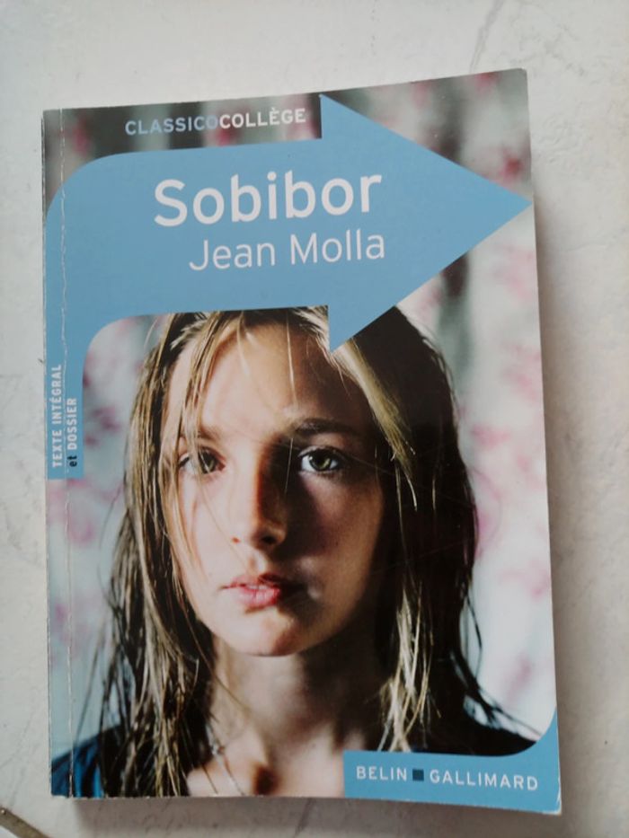 Lot de 5 livres de poche - niveau collège - photo numéro 3