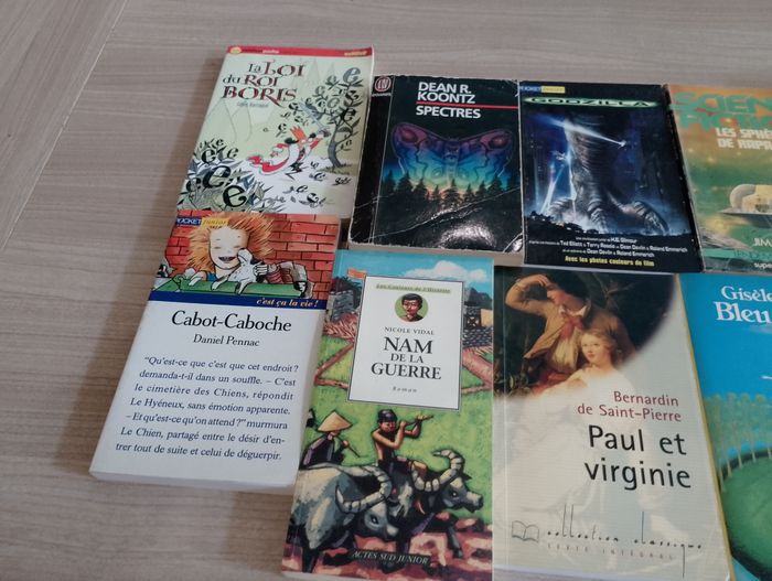 Lot de 10 livres de poches divers (15) - photo numéro 2