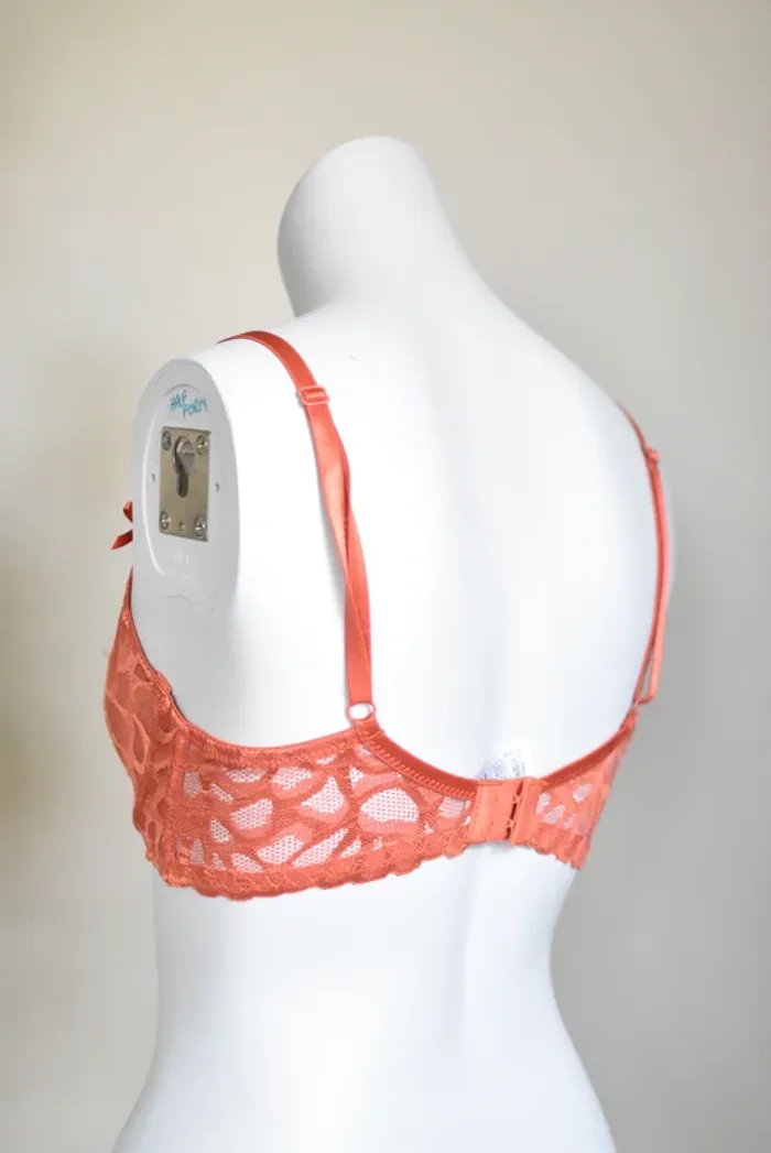 Soutien Gorge en taille 90C - photo numéro 4