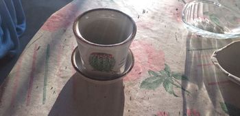 Petit pot avec soucoupe pour cactus