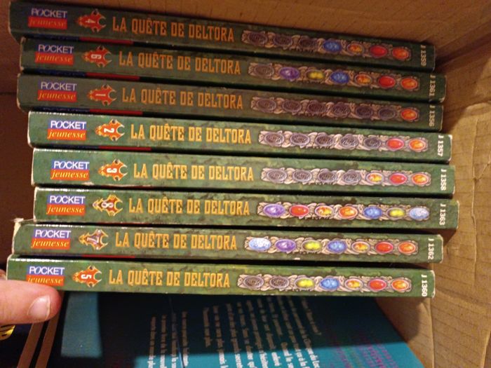 Cycle 1 la quête de Deltora