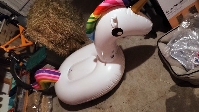 Grand licorne bouee