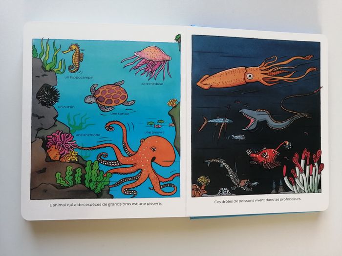 livre enfant - photo numéro 8