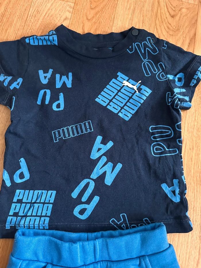 Ensemble puma - photo numéro 2