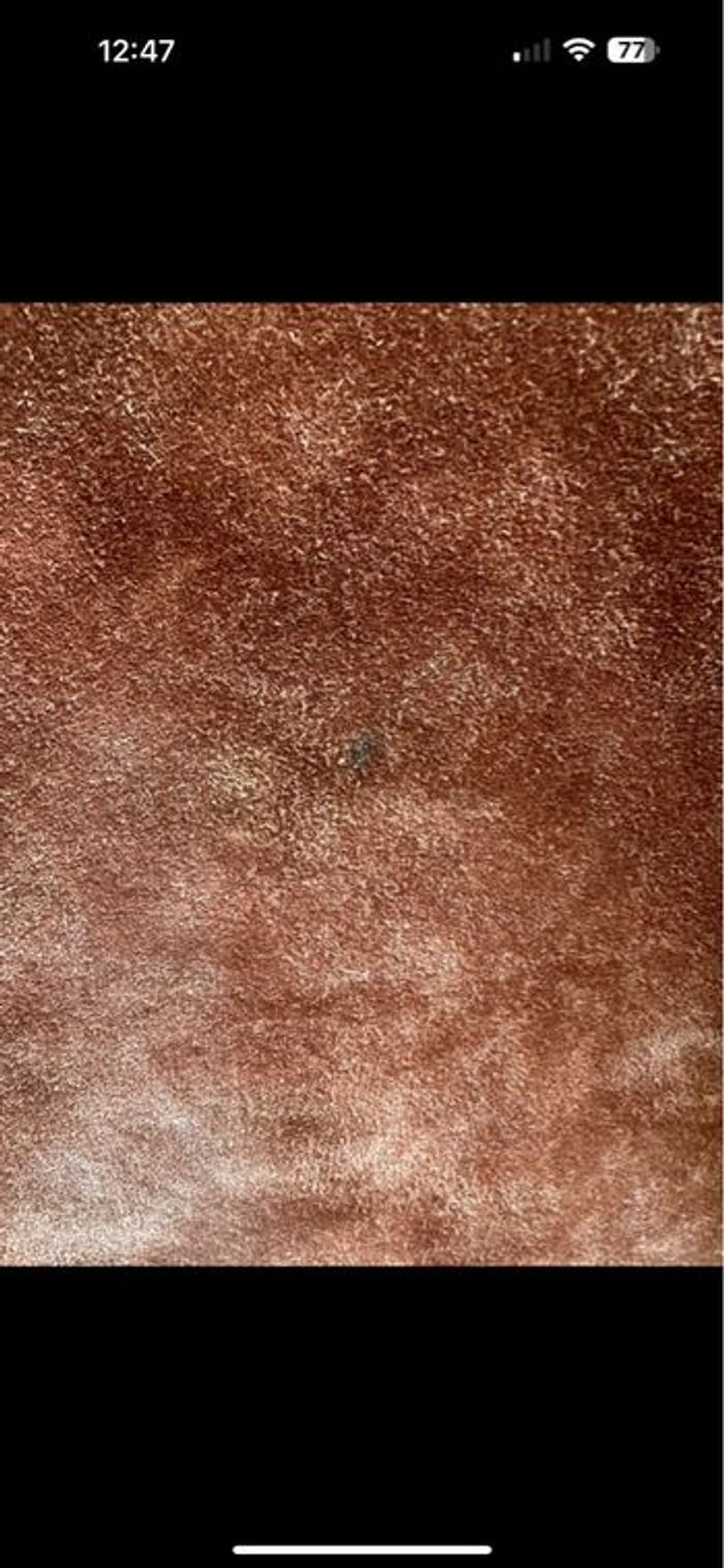 Sac marron en peau - photo numéro 7