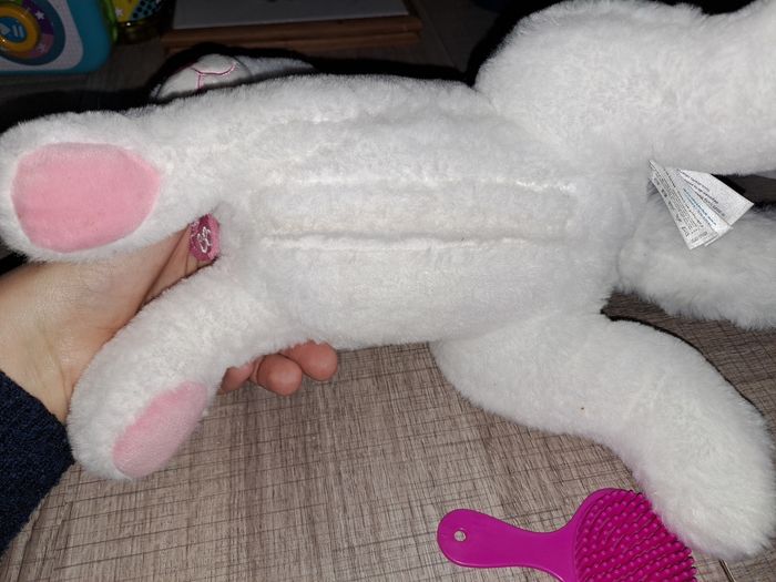 Chat Cuty Bella - photo numéro 3