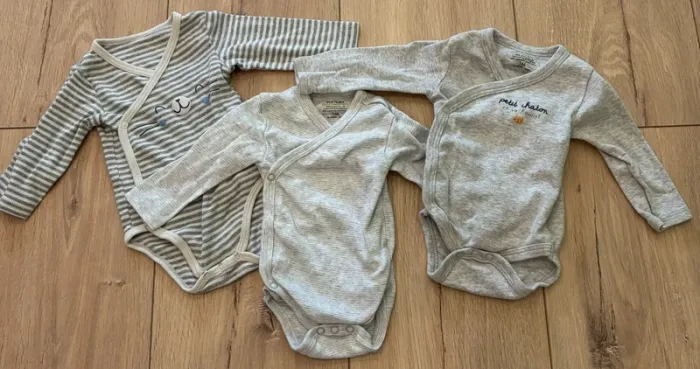 Lot 3 bodies