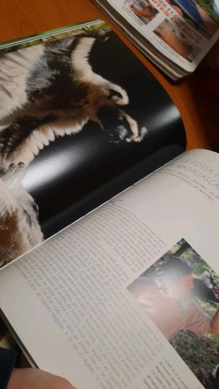 Grand livre animaux - photo numéro 4