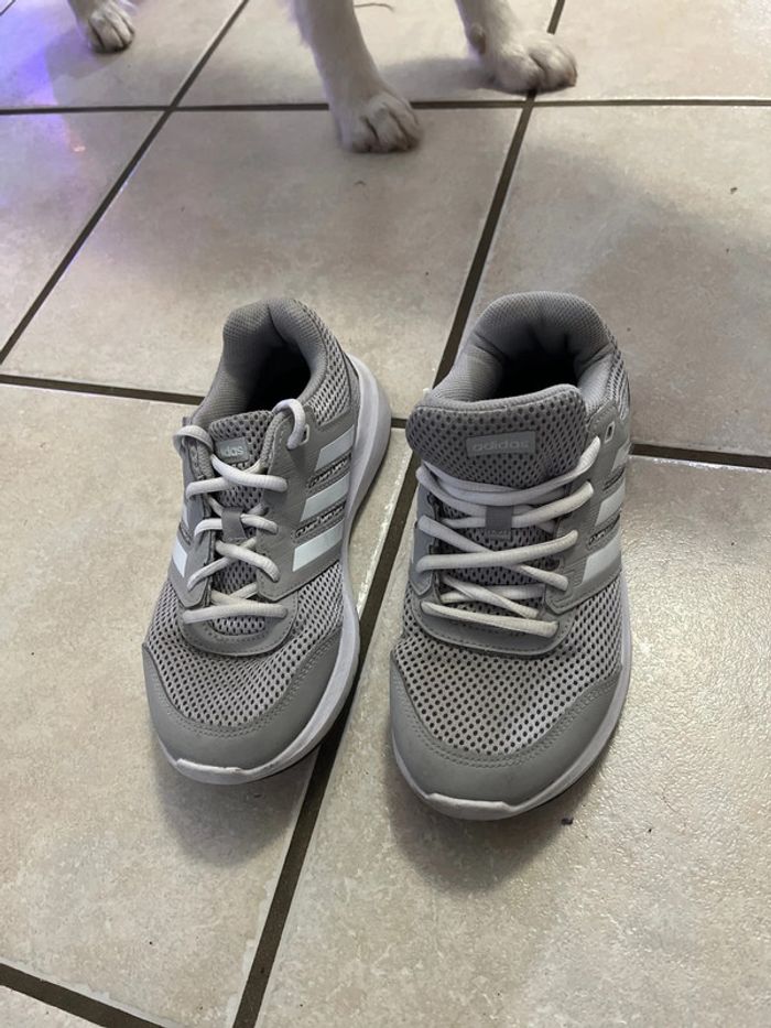 Paire de basket Adidas grise