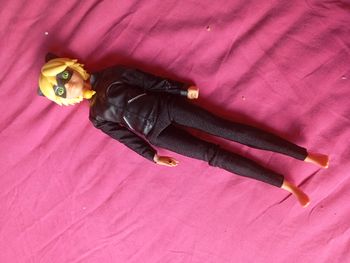 Barbie miraculous Adrien chat noir
