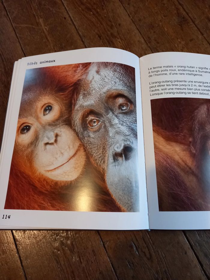 Encyclopédie des bébé animaux - photo numéro 2