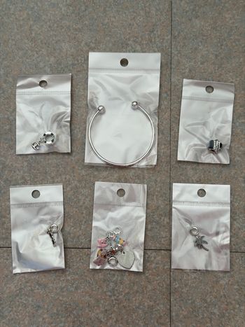 Bracelet MSC avec charms