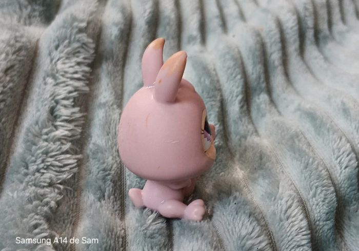 Petshop lapin 667 - photo numéro 2
