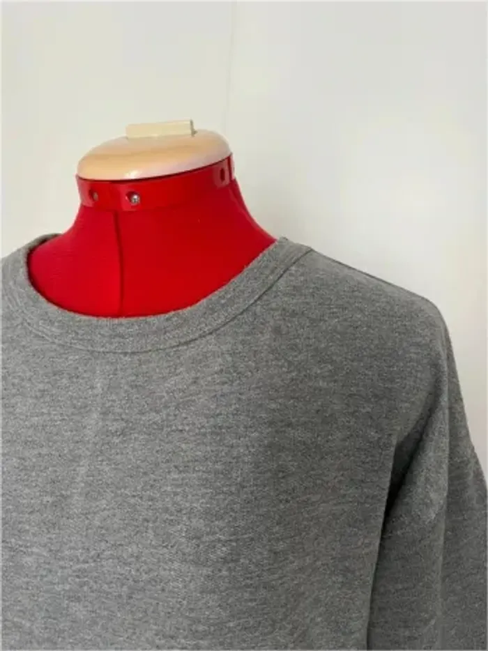 Sweat gris à manches cloches Zara - photo numéro 4