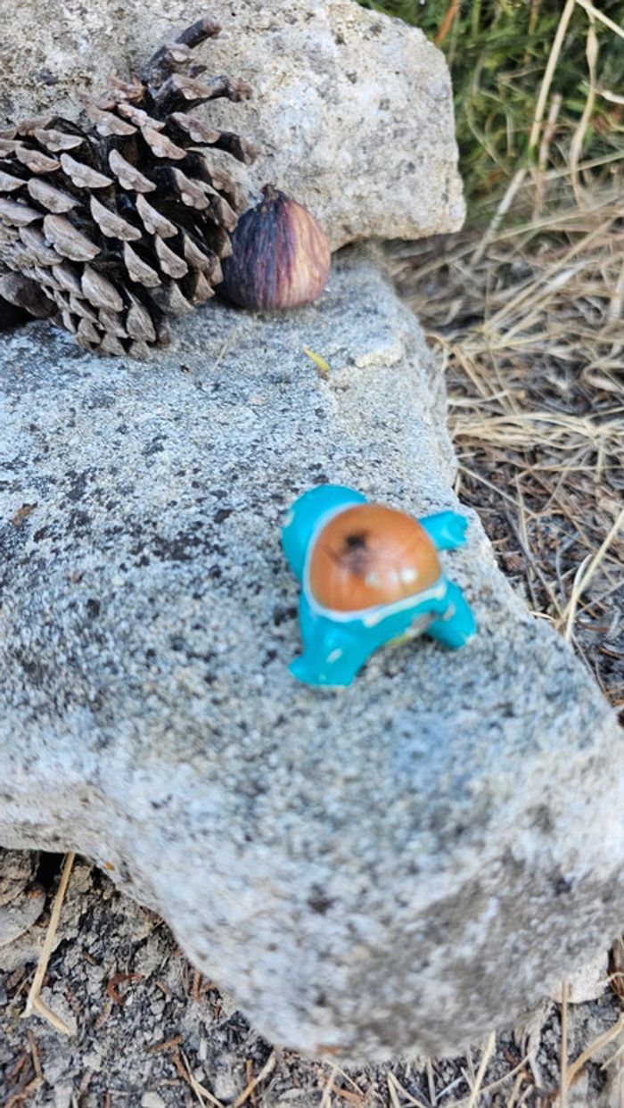 Super figurine Pokemon carapuce - photo numéro 3