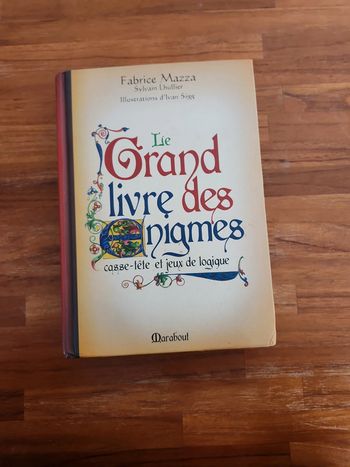 Livre le grand livre des enigmes