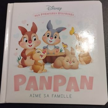 Livre enfant Disney mes premières histoires panpan