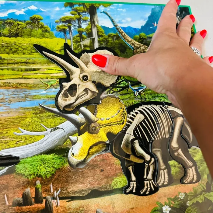 À la découverte des dinosaures - photo numéro 5