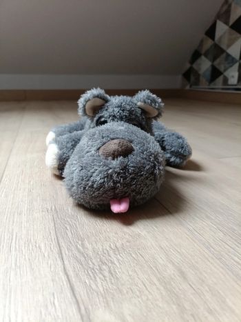 Chien en peluche