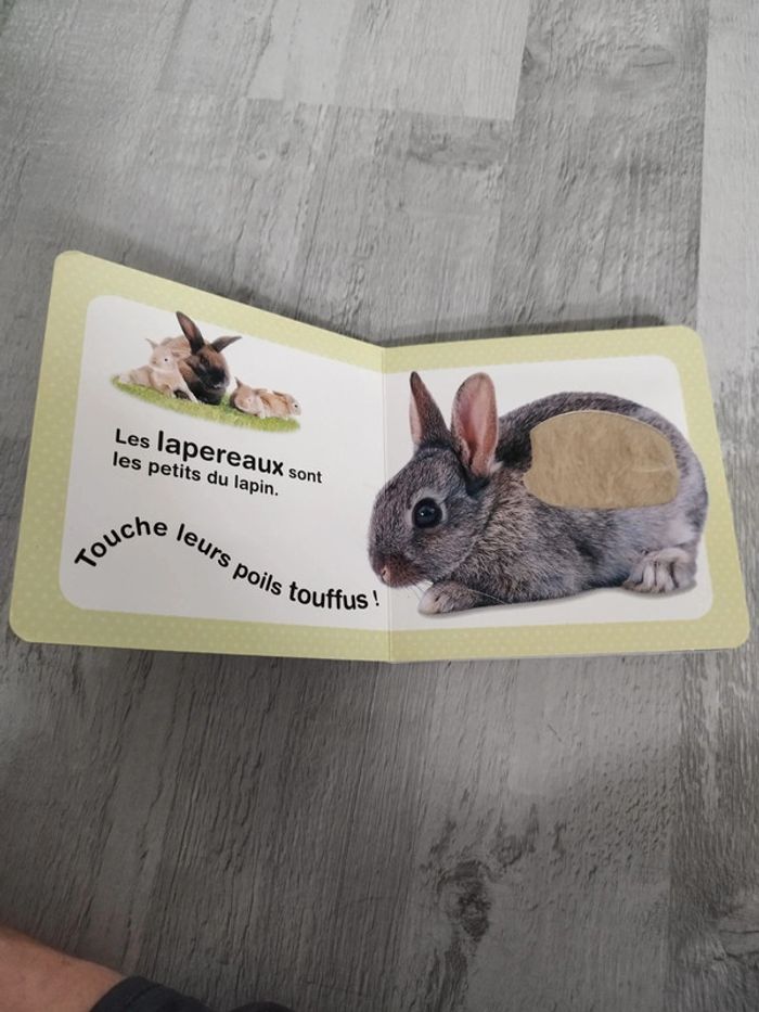 📖 Animaux câlins - photo numéro 6