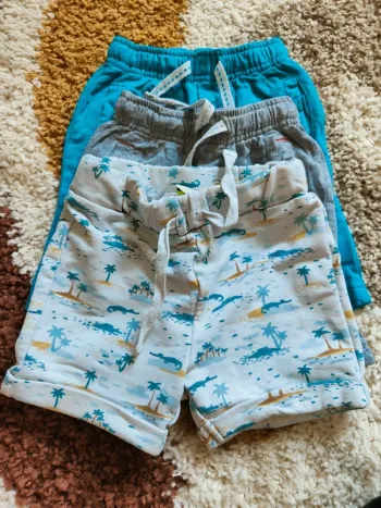 Lot 3 shorts