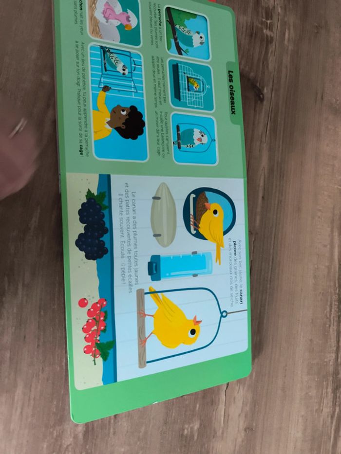 Livre animé - photo numéro 6