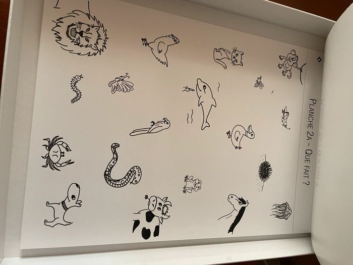 Manip’ ortho édition - photo numéro 5