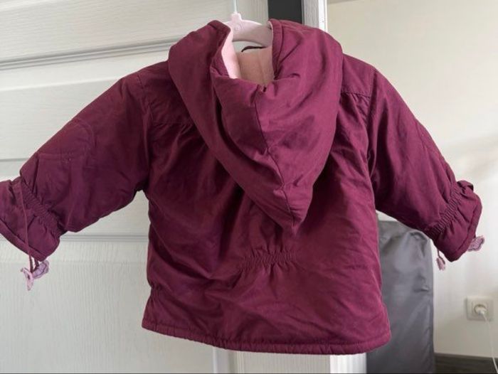 Manteau pourpre (9mois) - photo numéro 2