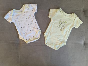 Lot de 2 bodies manches courtes