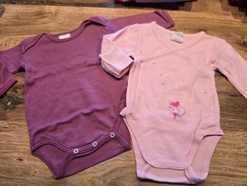 Lot 2 bodies