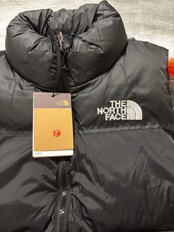 Veste the north face sans manches - photo numéro 2