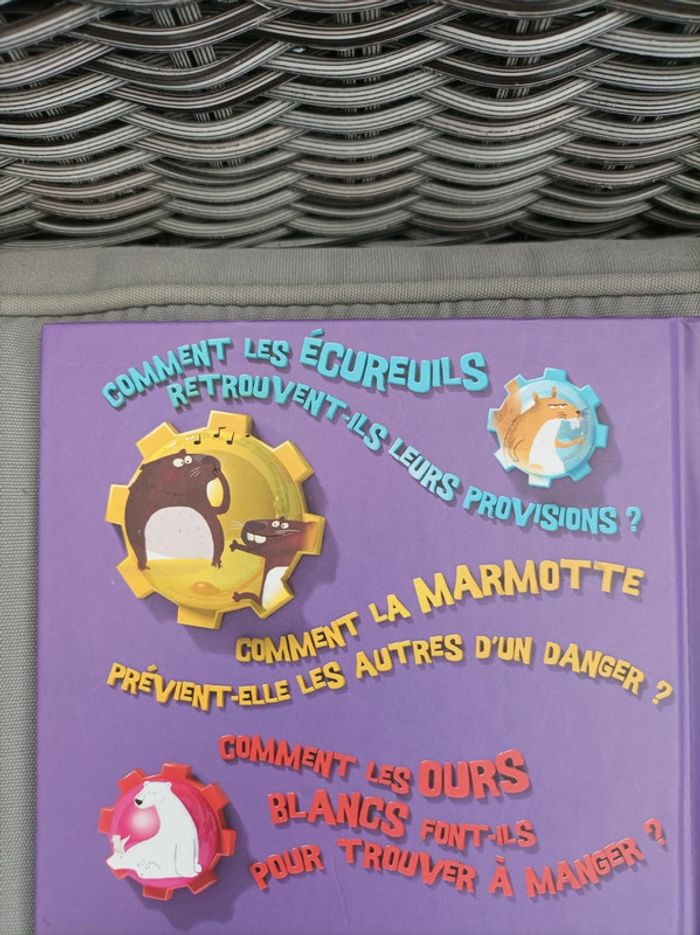 Livre de découverte "comment ?" - photo numéro 5