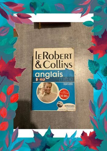 Livre Robert anglais maxi