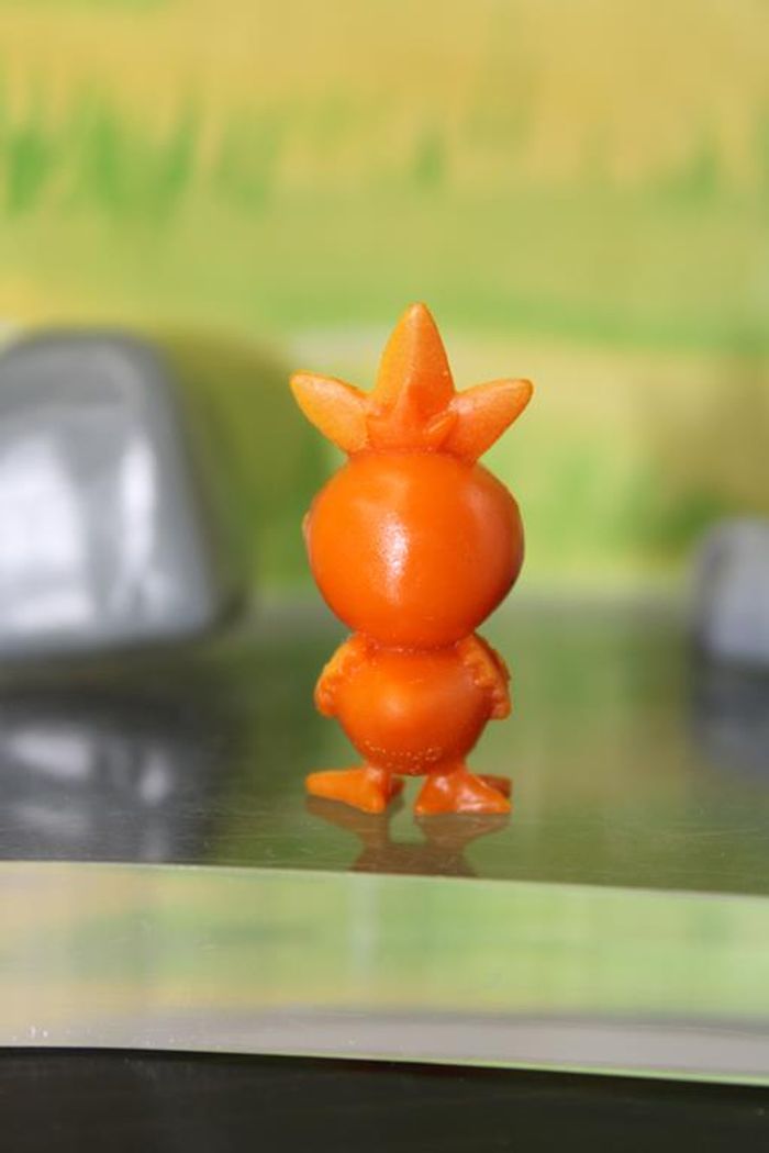 Pokemon Poussifeu - photo numéro 5