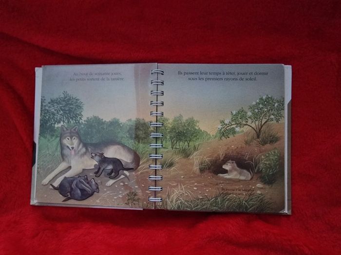 Livre le loup - photo numéro 3