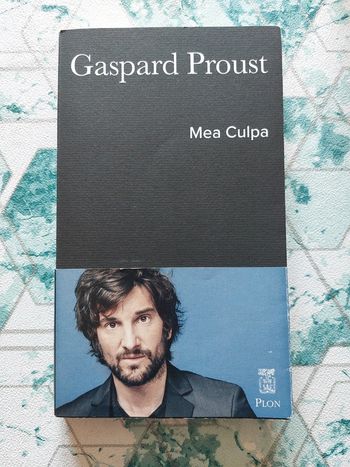 Gaspard Proust - Mea Culpa