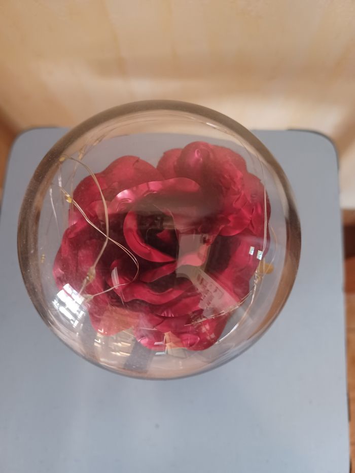 Rose sous cloche Gifi - photo numéro 5