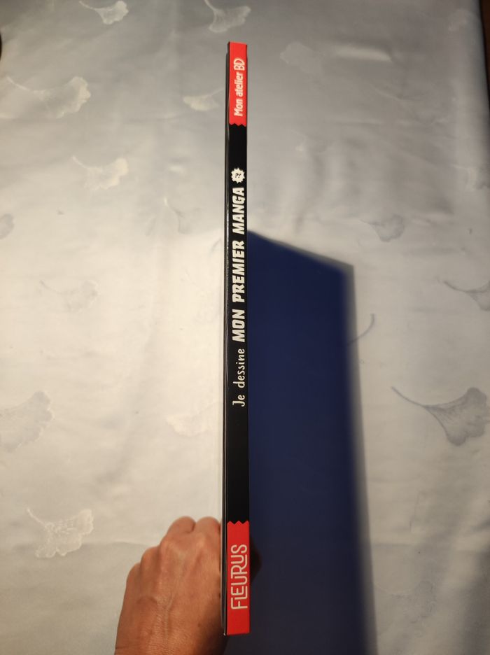 Dessiner des mangas - photo numéro 5