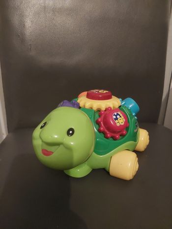 Tortue musical