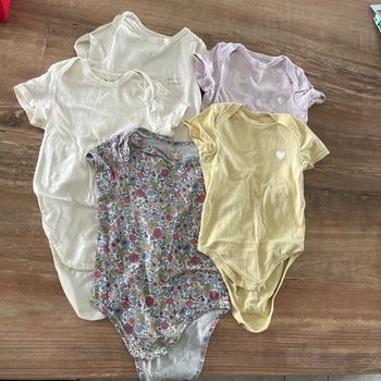 Lot bodies manches courtes