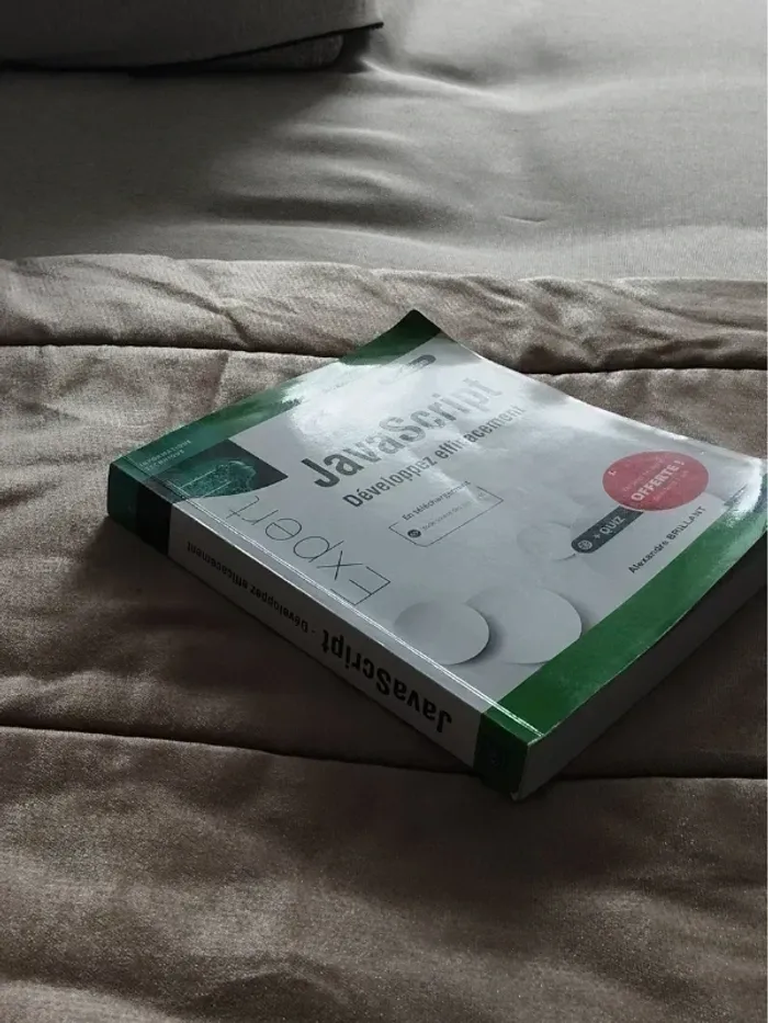 JavaScript développez efficacement 3e édition - photo numéro 5