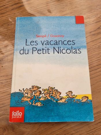 Livre les vacances du petit Nicolas