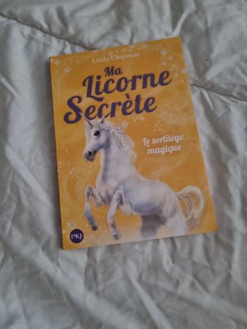 Livre ma licorne secrète
