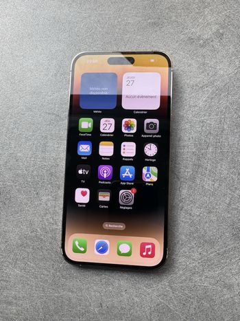 iPhone 14 pro max
