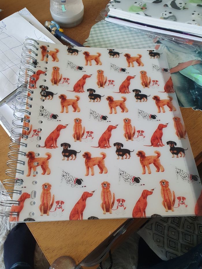 Grand cahier spirales