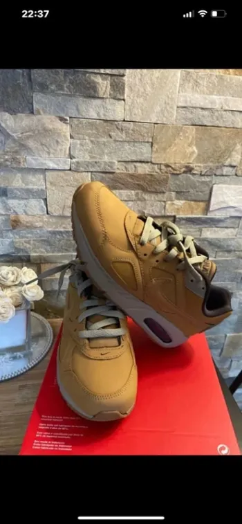 Basket Nike air Max