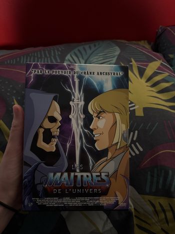Coffret DVD Les maîtres de l’univers 