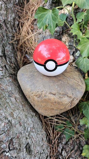 Super pokeball pour figurine Pokemon Nintendo